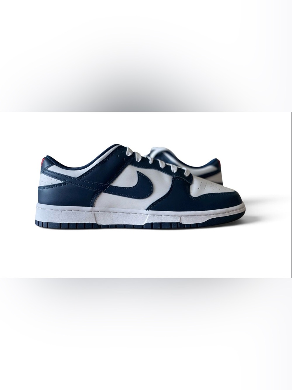 Nike Dunk Low Retro Valerian Blue/White Basketball Shoes Men Sz 12  DD1391-400
